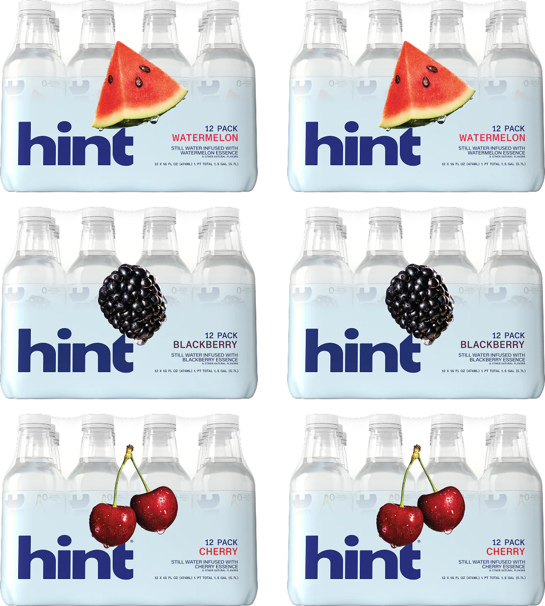 hint® water top sellers 6 case bundle